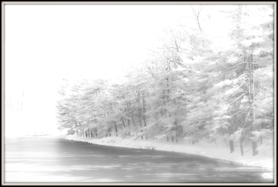 Infrared Freeze (30746091432)