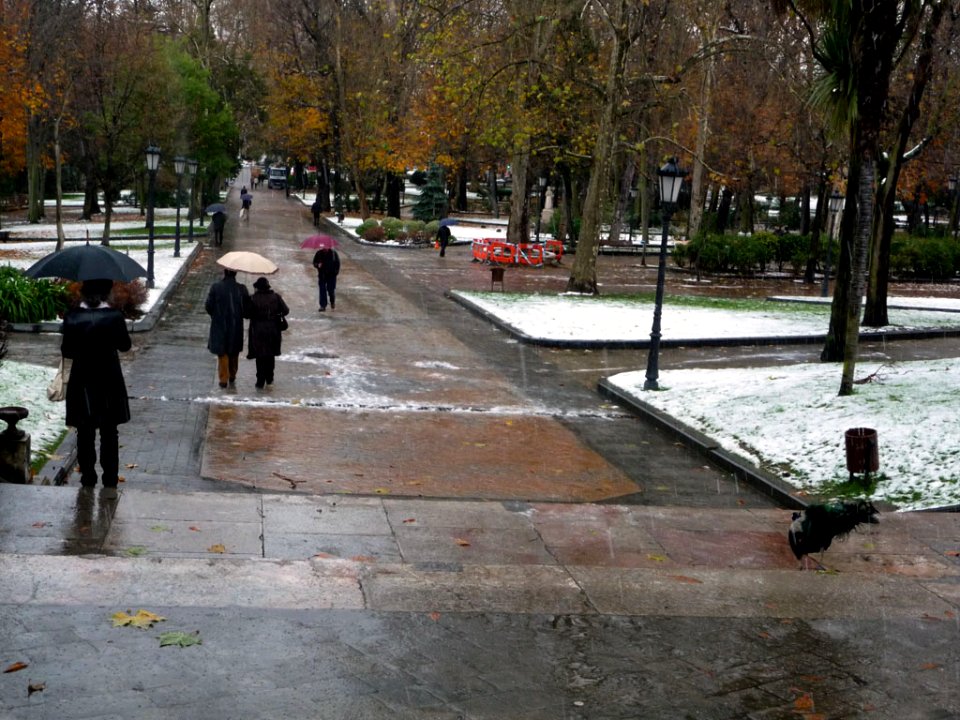 Invierno, 2010 (4856540686)