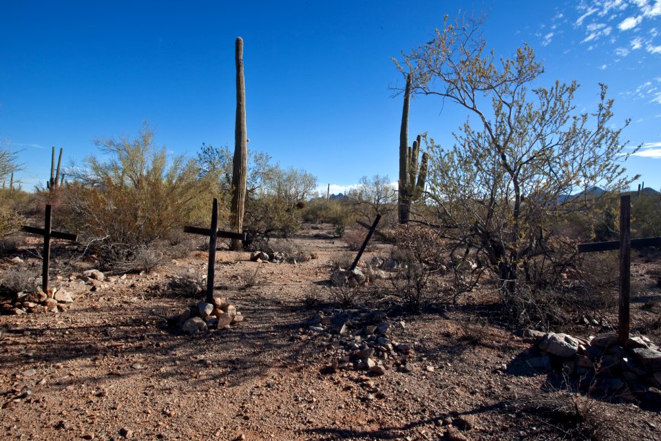 Ironwood Forest National Monument (26092547114)