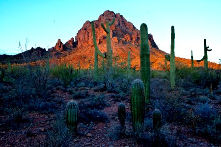 Ironwood Forest National Monument (26605274742)