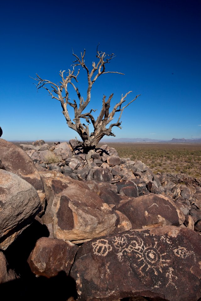 Ironwood Forest National Monument (26092594424)