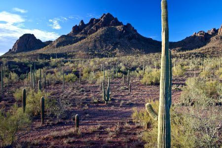 Ironwood Forest National Monument (26094292593)