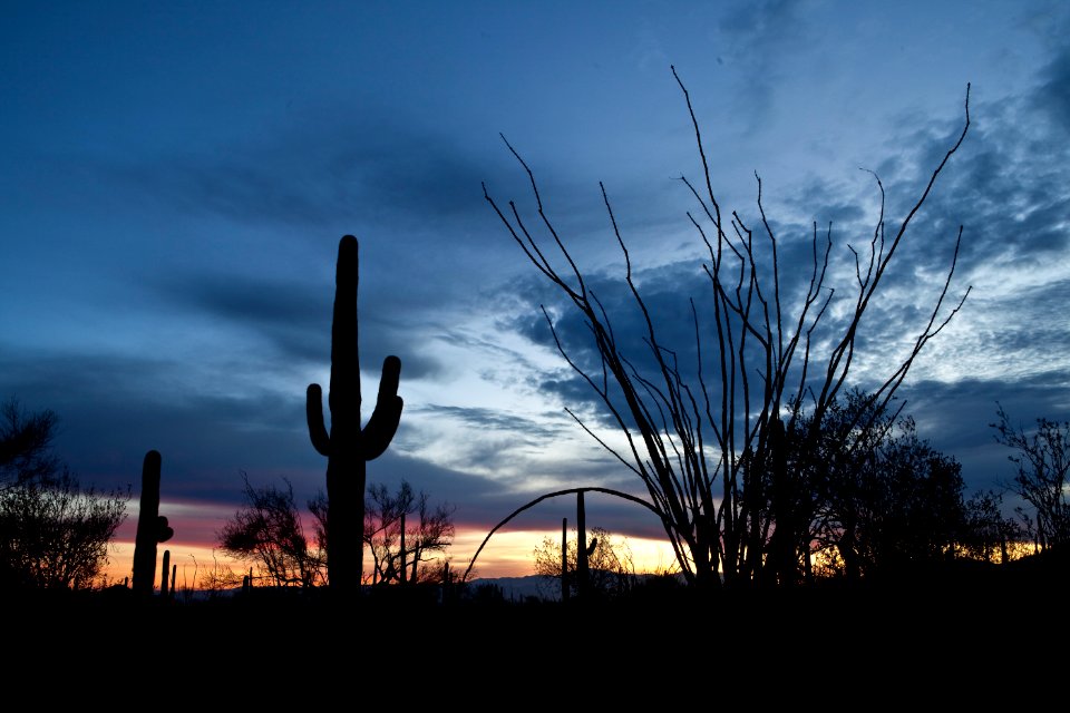 Ironwood Forest National Monument (26425354520)