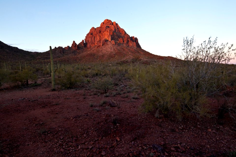 Ironwood Forest National Monument (26425359800)