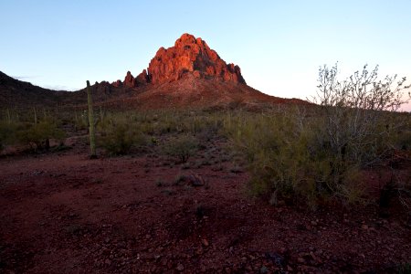 Ironwood Forest National Monument (26425359800)
