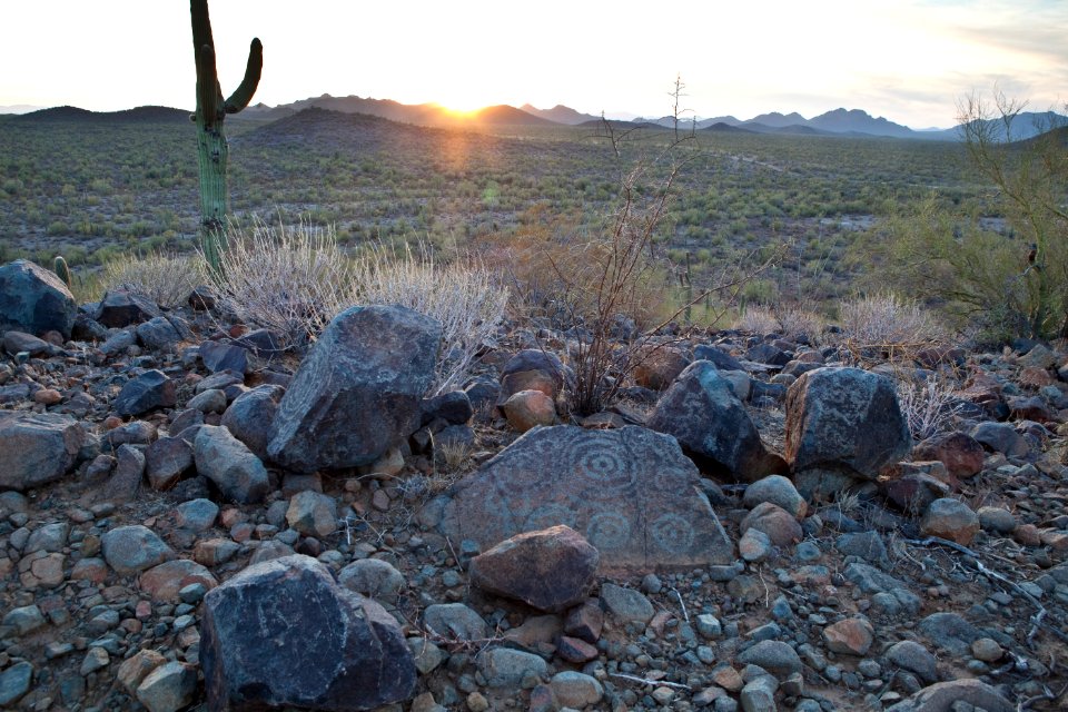 Ironwood Forest National Monument (26671687596)