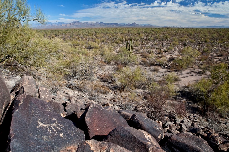 Ironwood Forest National Monument (26425427960)