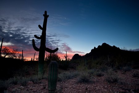 Ironwood Forest National Monument (26605278822)