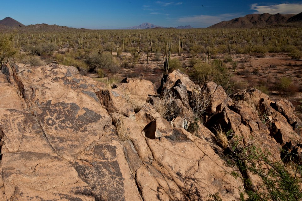 Ironwood Forest National Monument (26605332822)