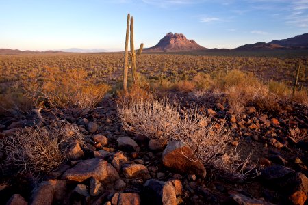 Ironwood Forest National Monument (26605377812)