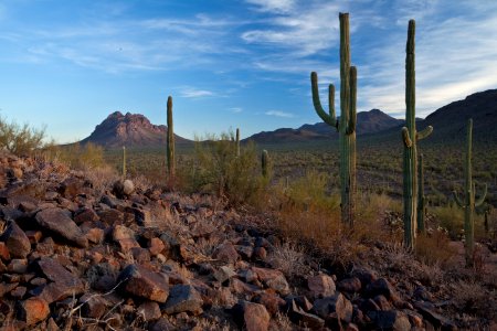 Ironwood Forest National Monument (26671684306)