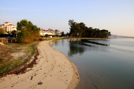 Isla de La Toja (15749841455)