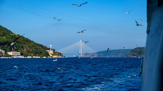 Istanbul (48985773691)