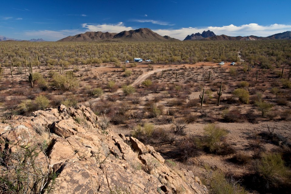 Ironwood Forest National Monument (26698299635)