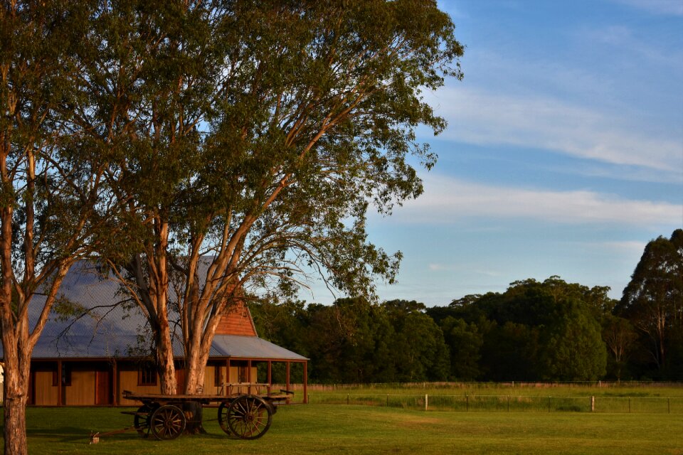 Nature outdoors farmhouse