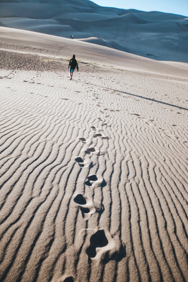 Desert footprints sunny