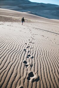Desert footprints sunny