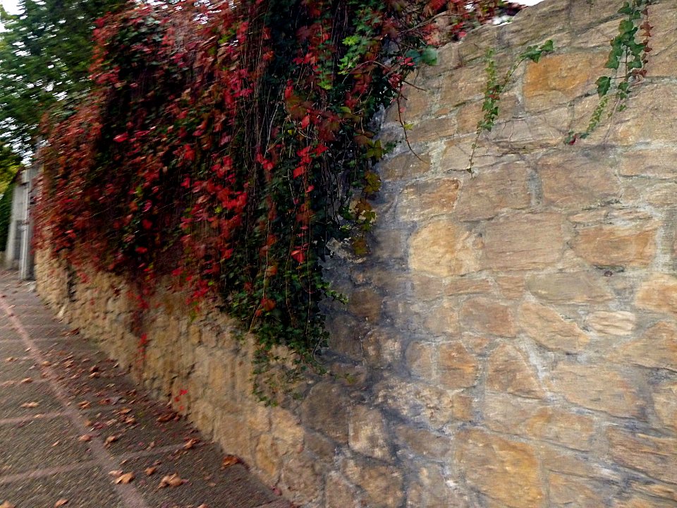 Jardines de La Rodriga (7543626596)