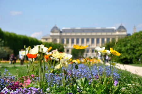 Jardin des plantes - Paris (3897520728)
