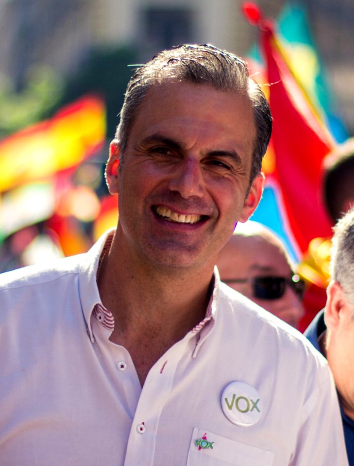 Javier Ortega Smith (30078015607) (cropped)