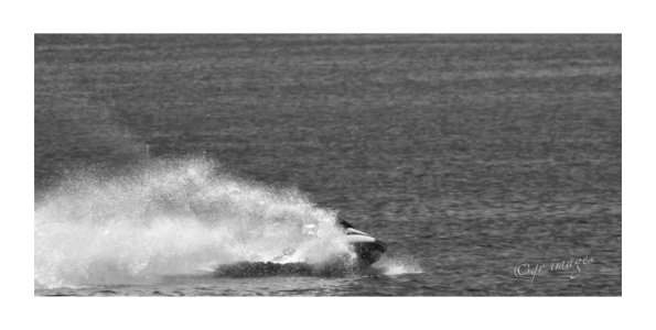 Jet Ski (47980515491)