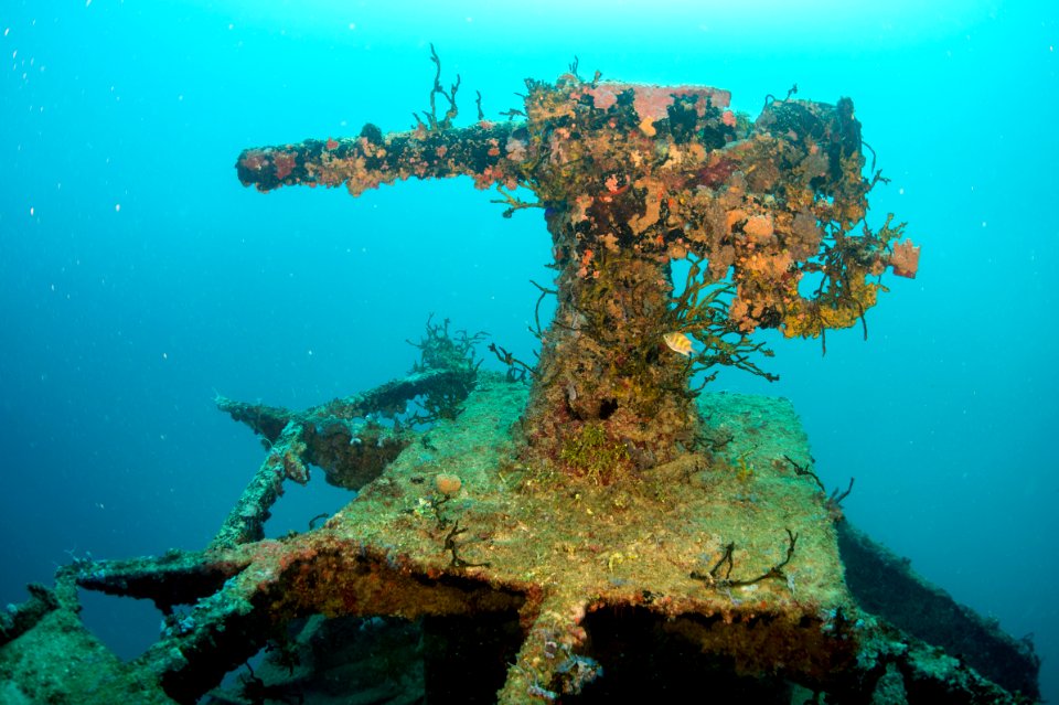 Kitsugawa Maru (40688529081)