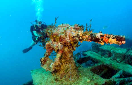 Kitsugawa Maru (40646043192) photo