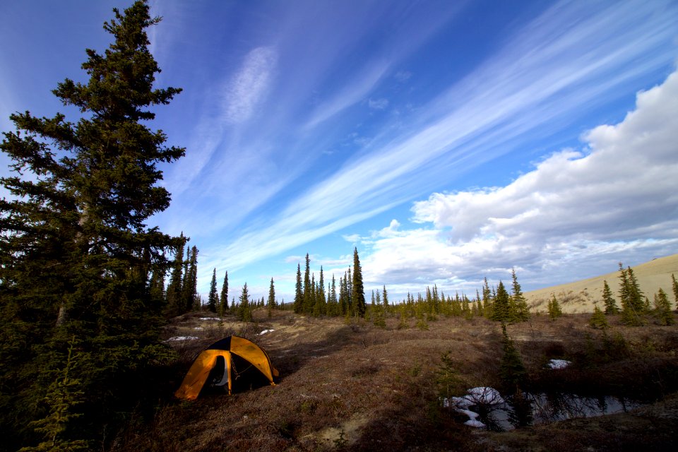 KOVA tent on the edge of the Kobuk sand dunes (35572258112)