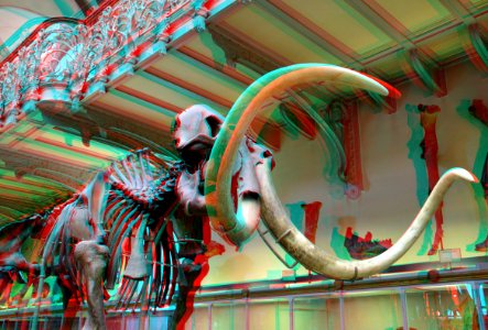 La Galerie de Paléontologie 3D (32281976211)