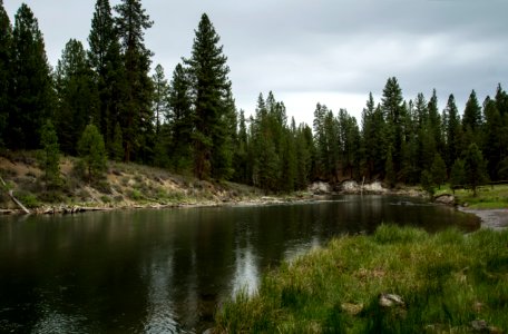 La Pine State Park, Oregon - Flickr - Bonnie Moreland (free images)
