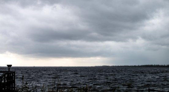 Lake Drummond (Great Dismal Swamp) (33846603091)