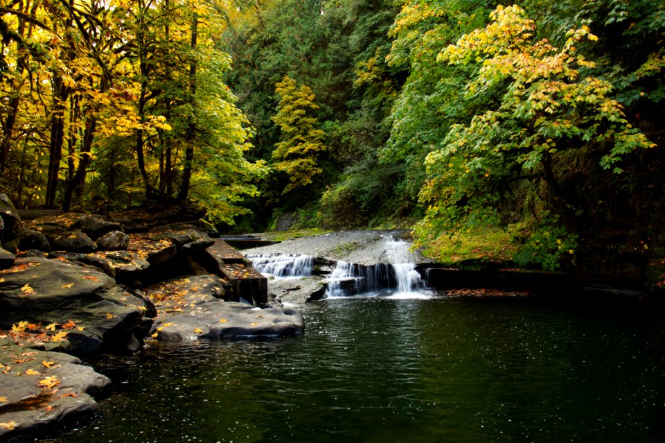 Lake Creek Falls pool, Oregon - Flickr - Bonnie Moreland (free images)