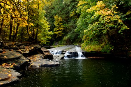 Lake Creek Falls pool, Oregon - Flickr - Bonnie Moreland (free images) photo