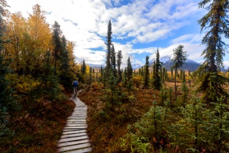 LACL Tanalian Trails in autumn (34900024464)