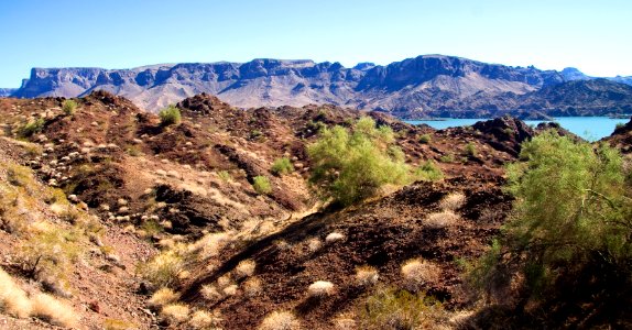 Lake Havasu View (24698537288)