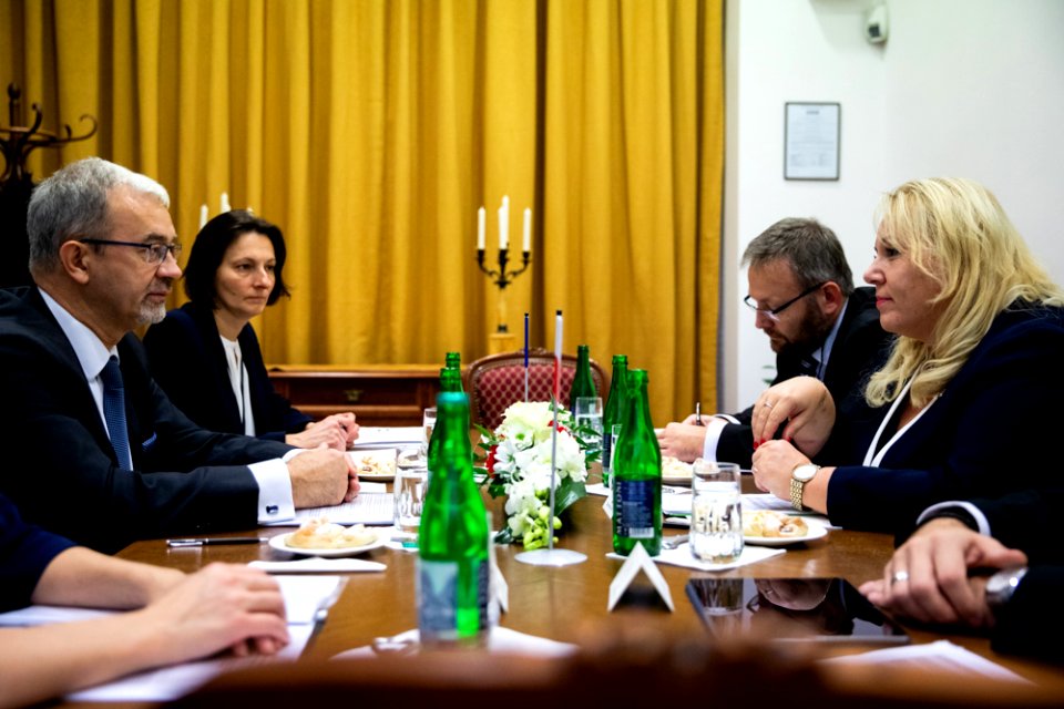 Polsko-czeskie konsultacje międzyrządowe (44073901300)