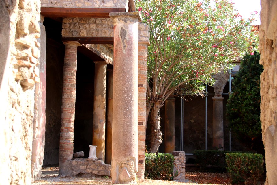 Pompeii Ruins (48441064576)