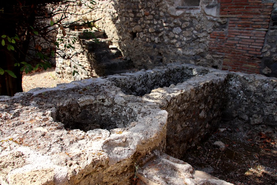 Pompeii Ruins (48441145537)