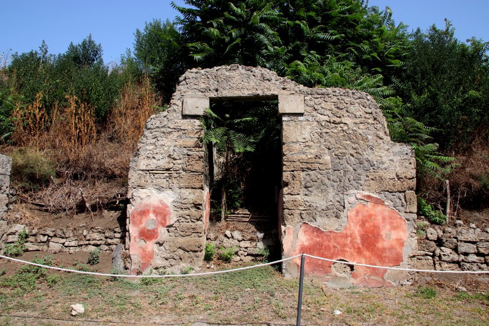 Pompeii Ruins (48443469662)