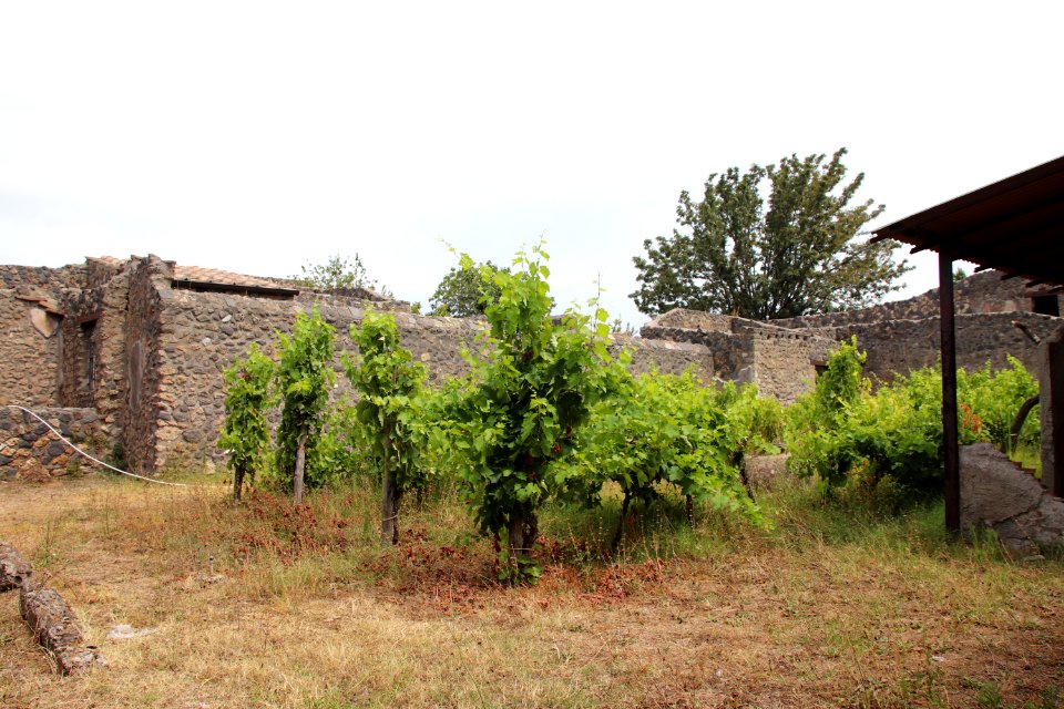 Pompeii Ruins (48442893391)