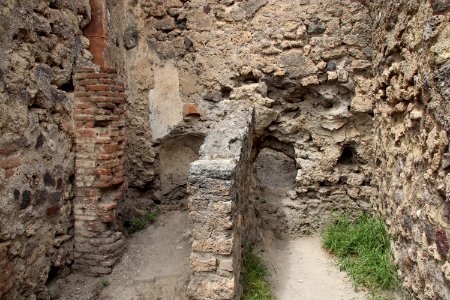 Pompeii Ruins (48443651951)