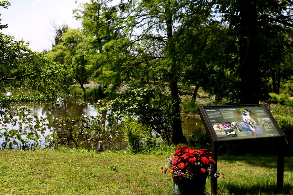 Ponds and sign (26923513260)