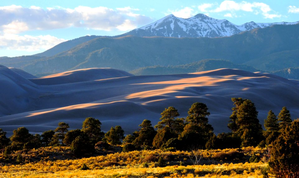 Ponderosa Pines, Dunes, and Cleveland Peak (45706377342) photo