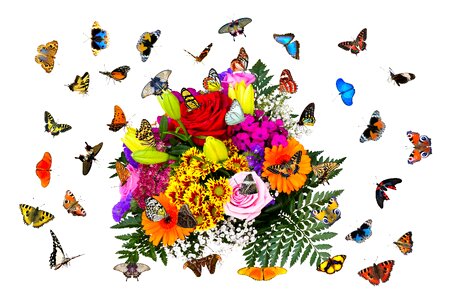 Bouquet flying wing