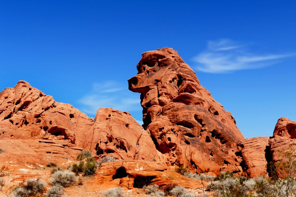 Poodle Rock. Valley of Fire Nevada. (51425186316)