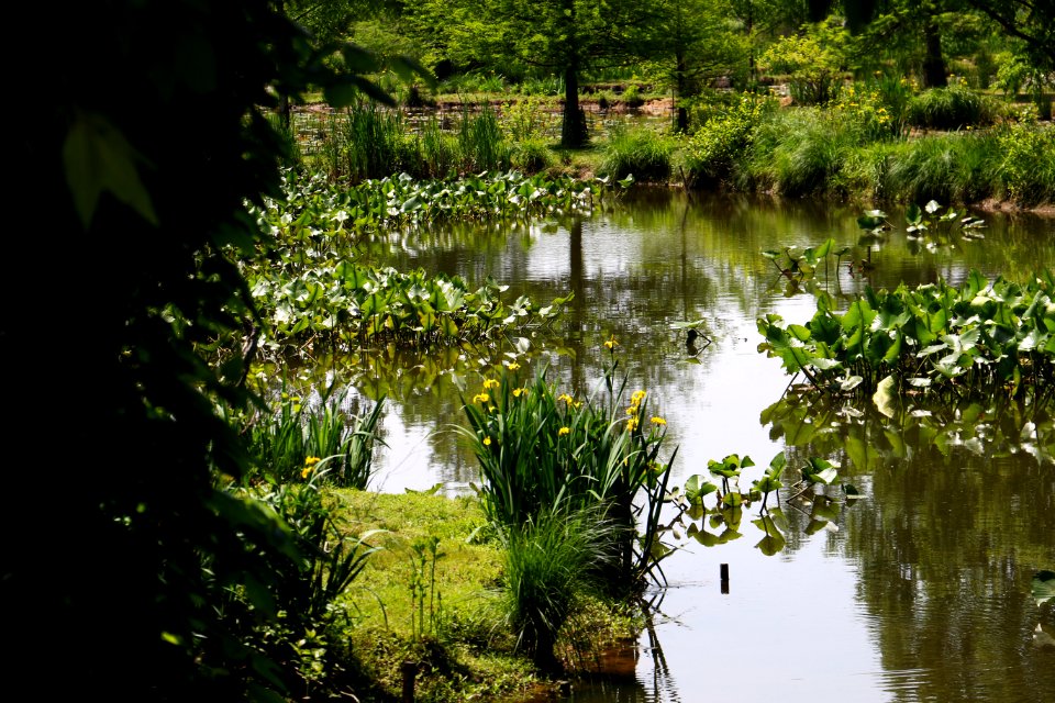 Ponds and Sign (27164788576)