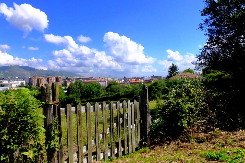 Portilla (14829859266)