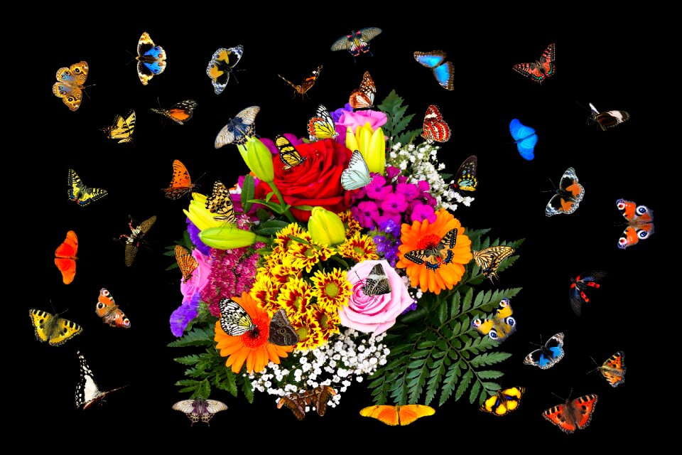 Bouquet flying wing