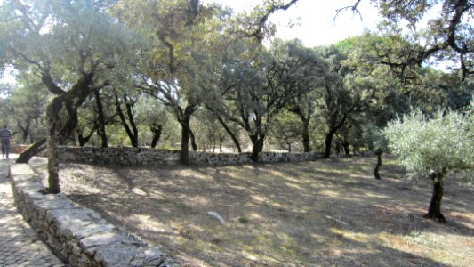 Portugal (33404820845)