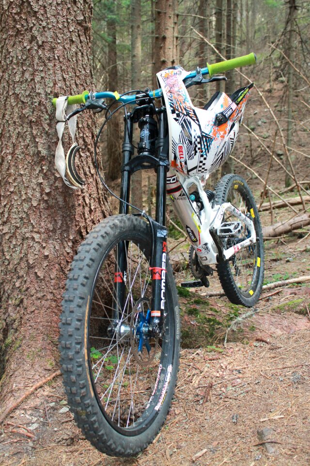 Green forest downhill